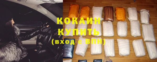 крисы Аркадак