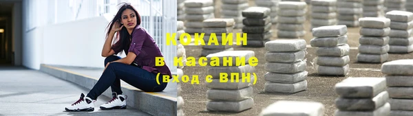 крисы Аркадак