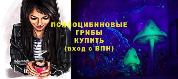 крисы Аркадак