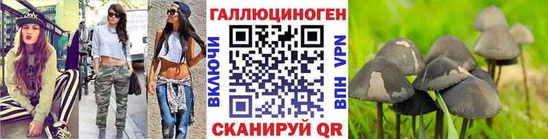 Галлюциногенные грибы ЛСД  Суджа 